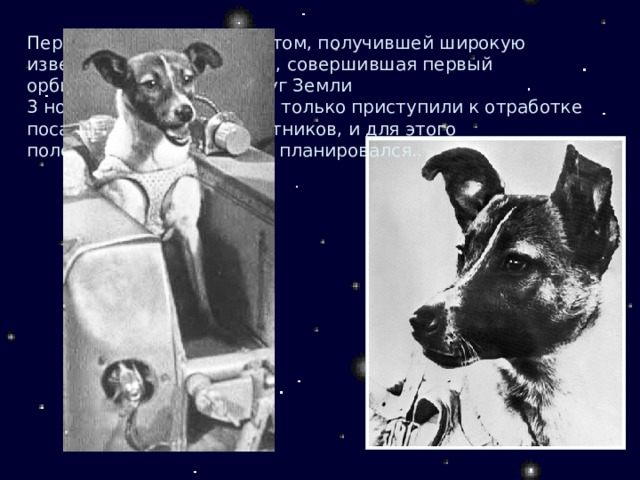 Первой собакой-космонавтом, получившей широкую известность, стала Лайка, совершившая первый орбитальный полет вокруг Земли 3 ноября 1957 года. Тогда только приступили к отработке посадок орбитальных спутников, и для этого полета спуск на землю не планировался.. 