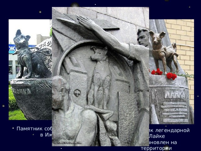 Памятник собаки Звездочке в Ижевске  Памятник легендарной Лайке установлен на территории НИИ военной медицины. 