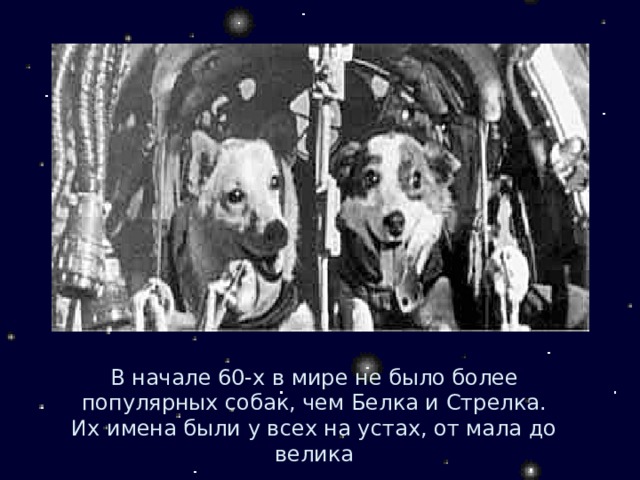 В начале 60-х в мире не было более популярных собак, чем Белка и Стрелка. Их имена были у всех на устах, от мала до велика 