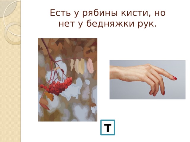 Лисичка носик показала что означает. Смотреть фото Лисичка носик показала что означает. Смотреть картинку Лисичка носик показала что означает. Картинка про Лисичка носик показала что означает. Фото Лисичка носик показала что означает