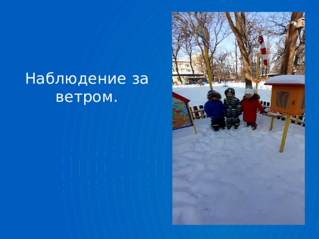 Наблюдение за ветром. 