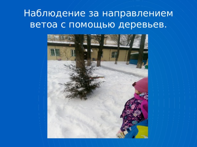 Наблюдение за направлением ветоа с помощью деревьев. 