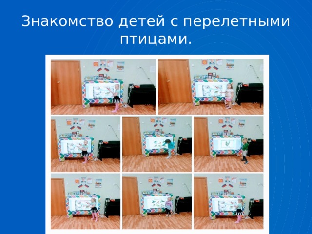 Знакомство детей с перелетными птицами. 