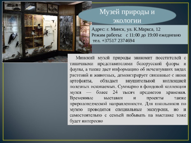 Музей природы и экологии Адрес: г. Минск, ул. К.Маркса, 12 Режим работы: с 11:00 до 19:00 ежедневно  тел. +37517 2374694 