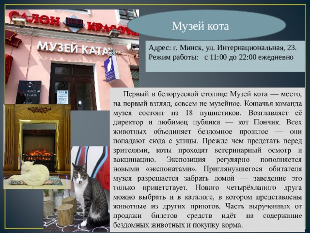 Музей кота Адрес: г. Минск, ул. Интернациональная, 23. Режим работы: с 11:00 до 22:00 ежедневно 
