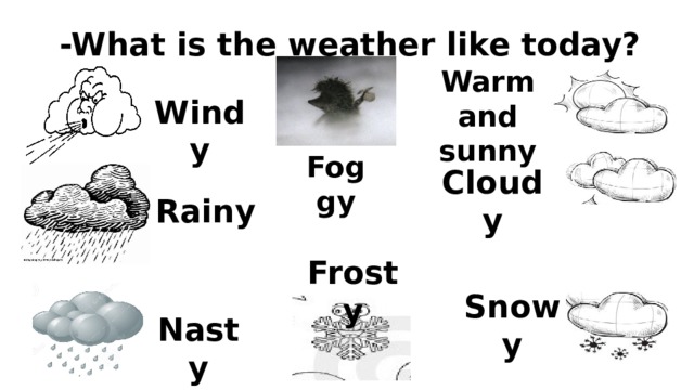 -What is the weather like today? Warm and sunny Windy Foggy Cloudy Rainy Frosty Snowy Nasty 