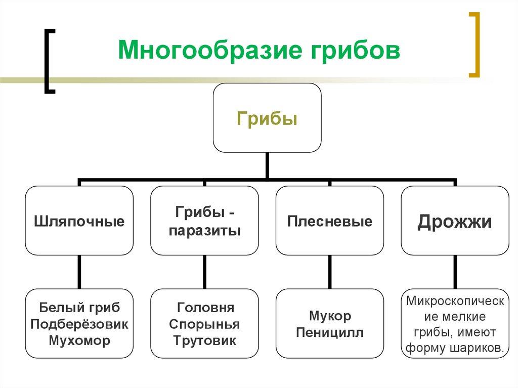 99771051 4