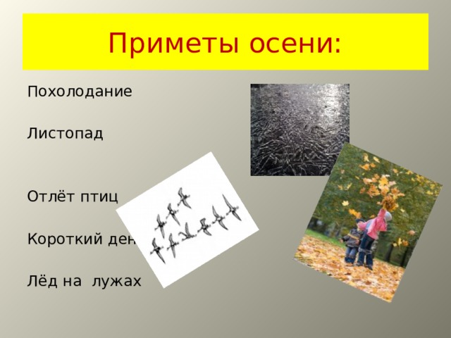 Приметы осени: Похолодание Листопад Отлёт птиц Короткий день Лёд на лужах 