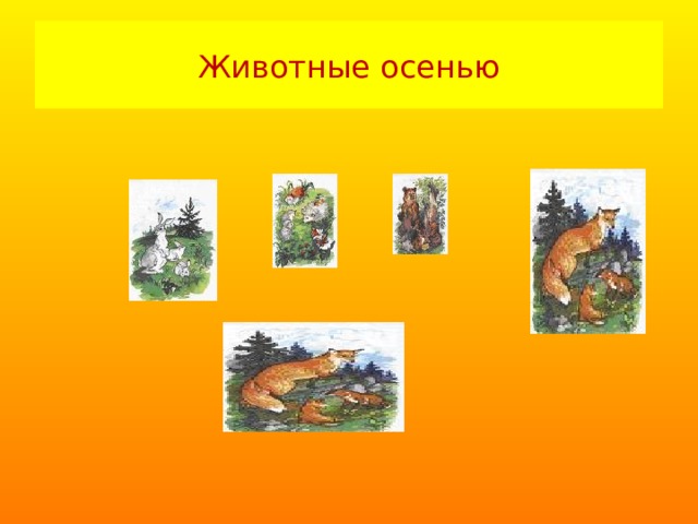 Животные осенью 