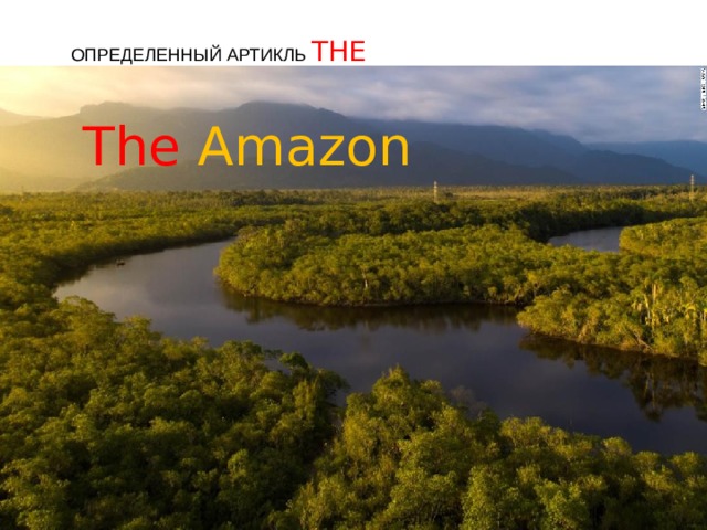 Определенный Артикль THE The  Amazon 