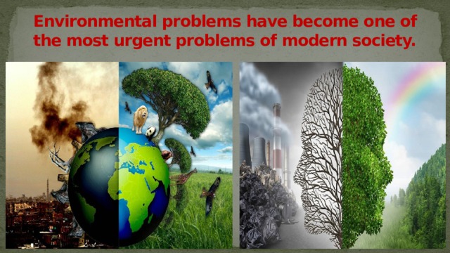 Environmental problems have become one of the most urgent problems of modern society.  
