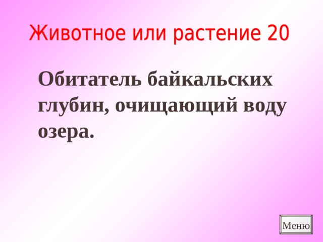 Обитатель байкальских глубин, очищающий воду озера. Меню