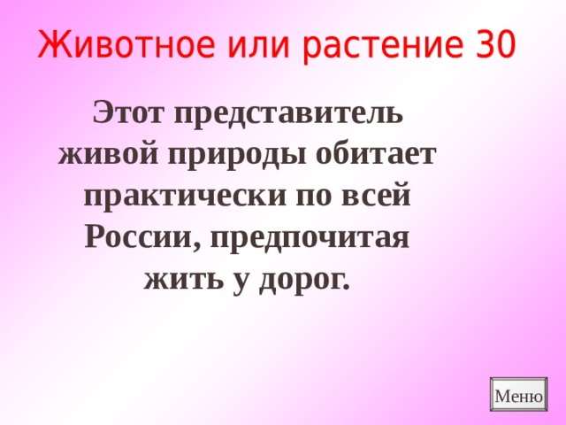 Этот представитель живой природы обитает практически по всей России, предпочитая жить у дорог. Меню