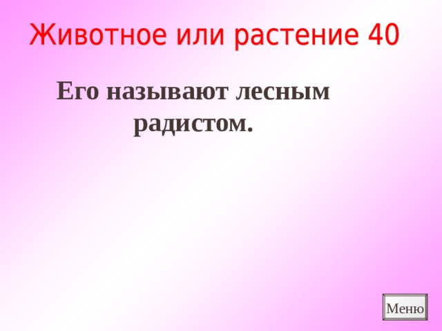 Его называют лесным радистом. Меню