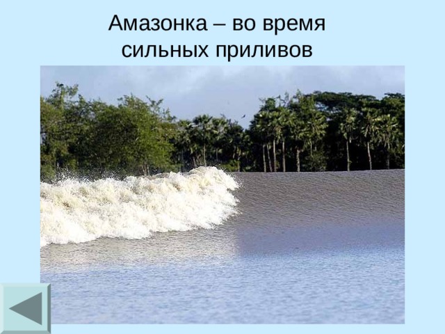 Амазонка – во время сильных приливов 