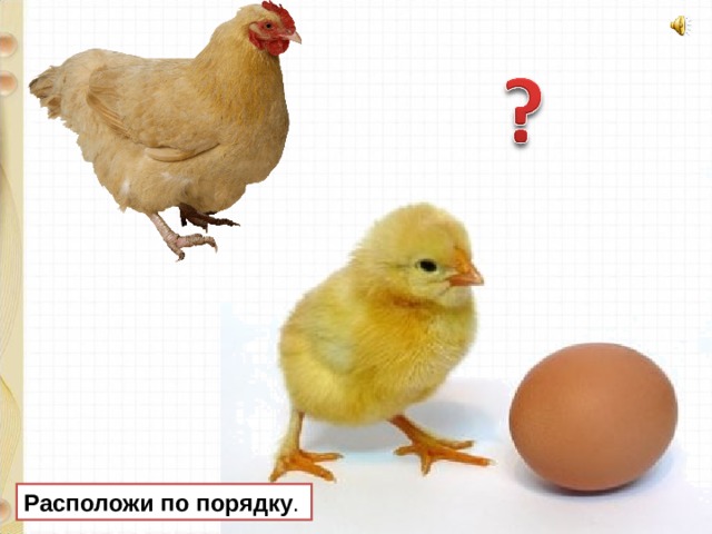 Расположи по порядку . 