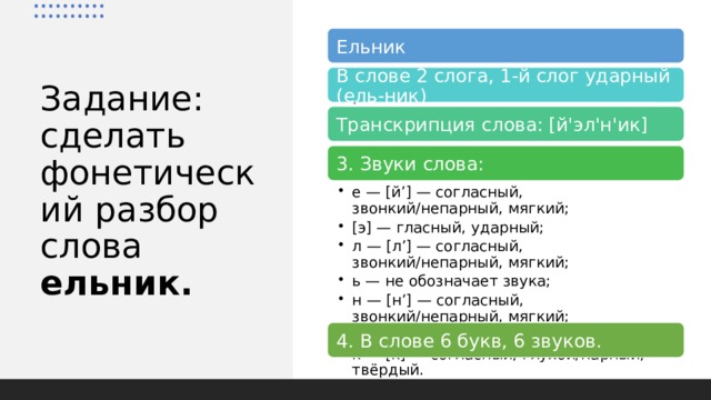 Количество букв и звуков в слове ель