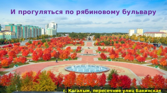 И прогуляться по рябиновому бульвару г. Когалым, пересечние улиц Бакинская и Сибирская  