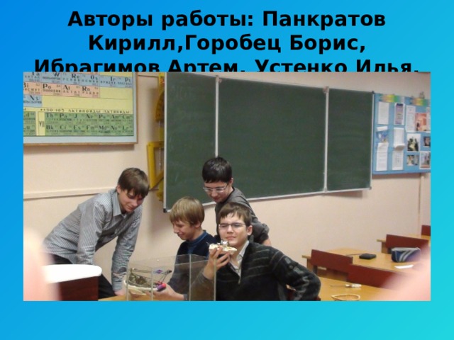 Авторы работы: Панкратов Кирилл,Горобец Борис, Ибрагимов Артем, Устенко Илья. 