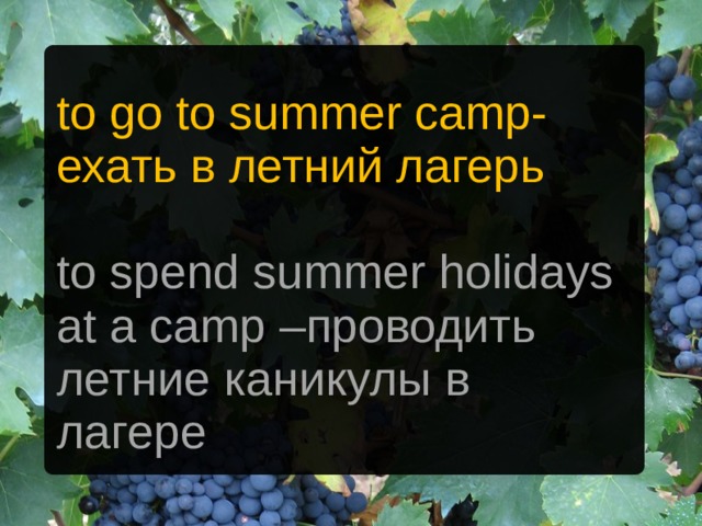to go to summer camp - ехать в летний лагерь to spend summer holidays at a camp – проводить летние каникулы в лагере 