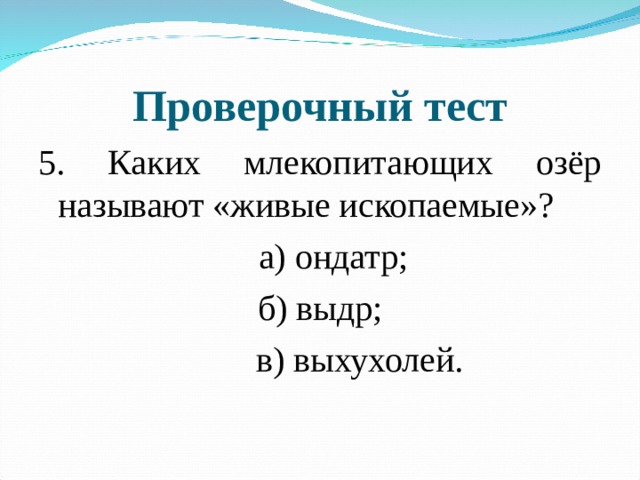 Проверочный тест 5. Каких млекопитающих озёр называют «живые ископаемые»?  а) ондатр; б) выдр;  в) выхухолей. 