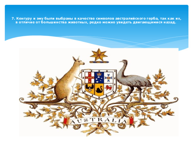   7. Кенгуру и эму были выбраны в качестве символов австралийского герба, так как их, в отличие от большинства животных, редко можно увидеть двигающимися назад.   