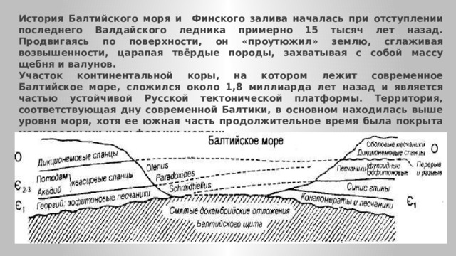 История Балтийского моря и Финского залива началась при отступлении последнего Валдайского ледника примерно 15 тысяч лет назад. Продвигаясь по поверхности, он «проутюжил» землю, сглаживая возвышенности, царапая твёрдые породы, захватывая с собой массу щебня и валунов. Участок континентальной коры, на котором лежит современное Балтийское море, сложился около 1,8 миллиарда лет назад и является частью устойчивой Русской тектонической платформы. Территория, соответствующая дну современной Балтики, в основном находилась выше уровня моря, хотя ее южная часть продолжительное время была покрыта мелководными шельфовыми морями. Поверхность Земли постоянно менялась, «дышала» — то поднимаясь, то опускаясь. 