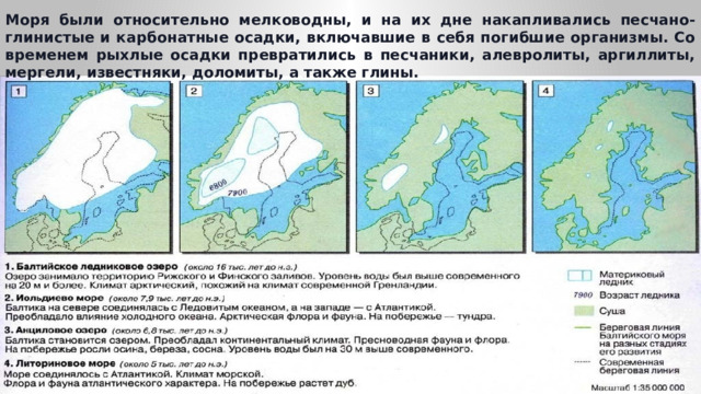 Моря были относительно мелководны, и на их дне накапливались песчано-глинистые и карбонатные осадки, включавшие в себя погибшие организмы. Со временем рыхлые осадки превратились в песчаники, алевролиты, аргиллиты, мергели, известняки, доломиты, а также глины. 