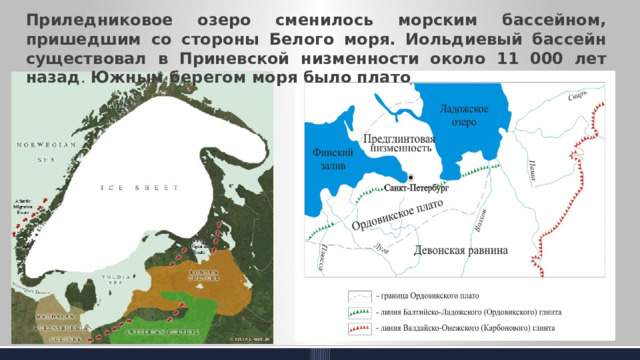 Приледниковое озеро сменилось морским бассейном, пришедшим со стороны Белого моря. Иольдиевый бассейн существовал в Приневской низменности около 11 000 лет назад . Южным берегом моря было плато 