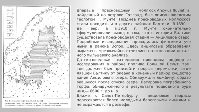 Впервые пресноводный моллюск Ancylus fluviatilis, найденный на острове Готланд, был описан шведским геологом Г. Мунте. Позднее пресноводных моллюсков ста­ли находить и в других районах Балтики. В 1890 г. де Геер, а в 1910 г. Мунте окончательно сформулировали вывод о том, что в истории Балтики существовала прес­новодная стадия — Анциловое озеро. Подробные исследования проводились финскими уче­ными в районе Эспоо. Здесь анциловые образования выражены чрезвычайно отчетливо на основании деталь­ного пыльцевого анализа. Датско-шведокая экспедиция проводила под­водные исследования в районе пролива Большой Бельт, там, где должен был произойти прорыв перемычки, отде­лявшей Балтику от океана в конечный период существо­вания Анцилового озера. Обнаружили ложбину, образо­вавшуюся после спуска озера. Датировка погребенного торфа, обнаруженного в результате подводного буре­ния,— 6600 г. до н. э. Ближе к Санкт-Петербургу анциловые террасы пересека­ются более молодыми береговыми линиями и не выра­жаются в рельефе. 
