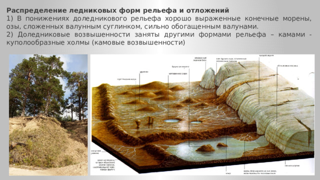 Распределение ледниковых форм рельефа и отложений 1) В понижениях доледникового рельефа хорошо выраженные конечные морены, озы, сложенных валунным суглинком, сильно обогащенным валунами. 2) Доледниковые возвышенности заняты другими формами рельефа – камами - куполообразные холмы (камовые возвышенности) 