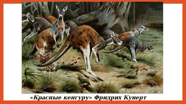 «Красные кенгуру» Фридрих Кунерт 