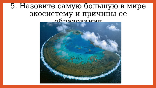 5. Назовите самую большую в мире экосистему и причины ее образования 