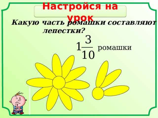 Настройся на урок Какую часть ромашки составляют лепестки?  ромашки 