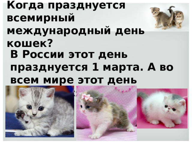 Когда празднуется всемирный международный день кошек?   В России этот день празднуется 1 марта. А во всем мире этот день приходится на 8 августа. 