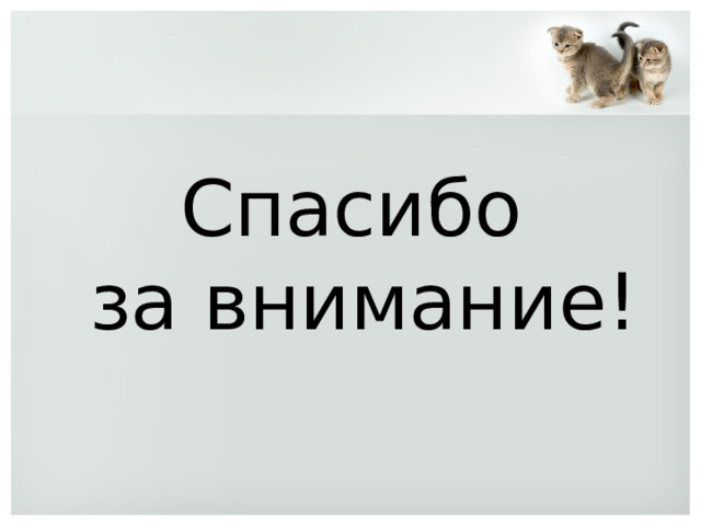 Спасибо  за внимание! 