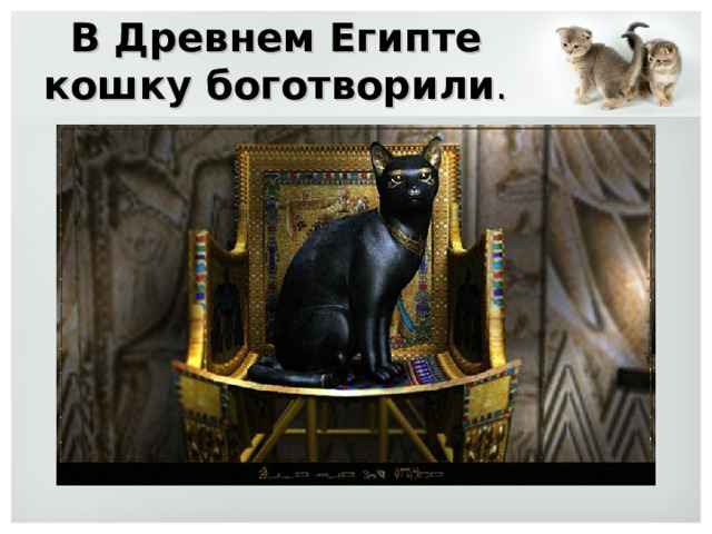 В Древнем Египте кошку боготворили . 