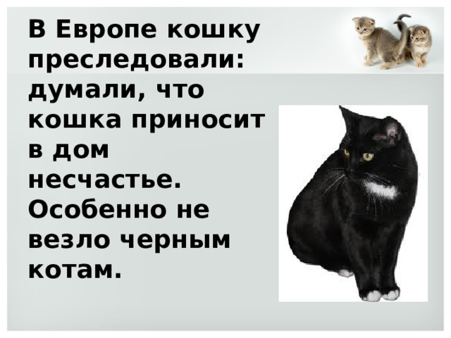 В Европе кошку преследовали: думали, что кошка приносит в дом несчастье. Особенно не везло черным котам. 