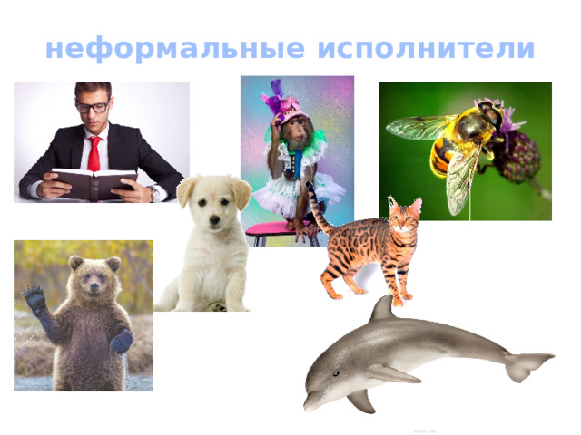 неформальные исполнители 
