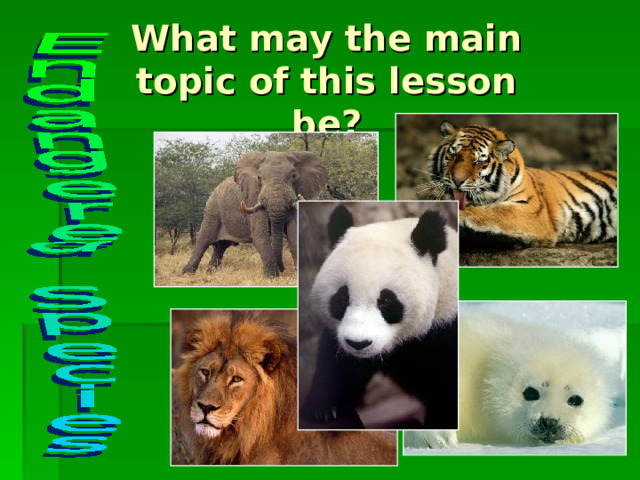 What may the main topic of this lesson be? 