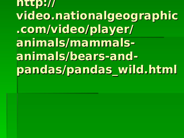 http://video.nationalgeographic.com/video/player/animals/mammals-animals/bears-and-pandas/pandas_wild.html 