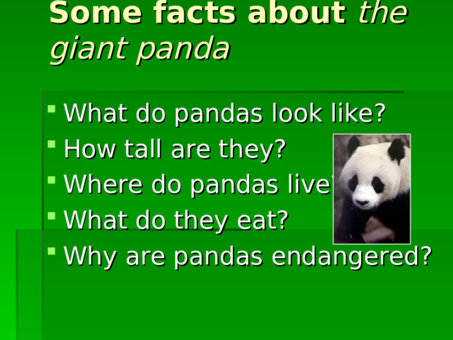 Some f acts about the giant panda What do pandas look like? How tall are they? Where do pandas live? What do they eat? Why are pandas endangered? 