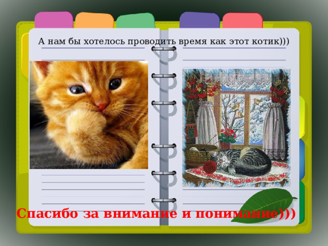 А нам бы хотелось проводить время как этот котик))) Спасибо за внимание и понимание))) 