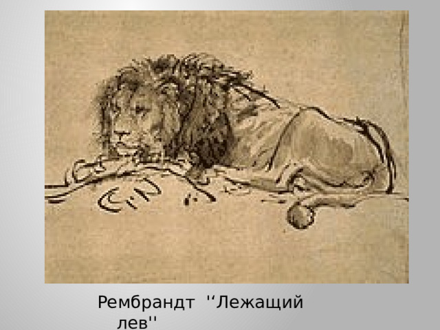 Рембрандт '‘Лежащий лев'' 
