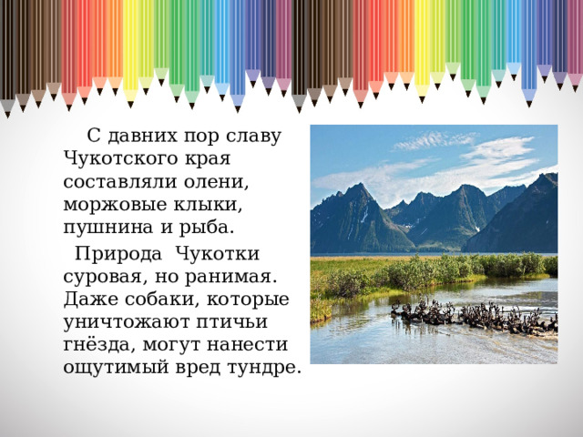 С давних пор славу Чукотского края составляли олени, моржовые клыки, пушнина и рыба.  Природа Чукотки суровая, но ранимая. Даже собаки, которые уничтожают птичьи гнёзда, могут нанести ощутимый вред тундре.