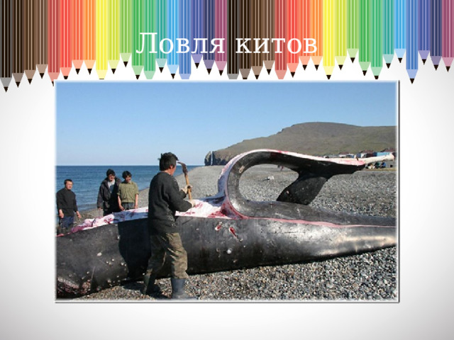 Ловля китов