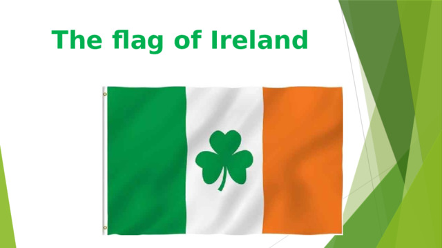 The flag of Ireland 