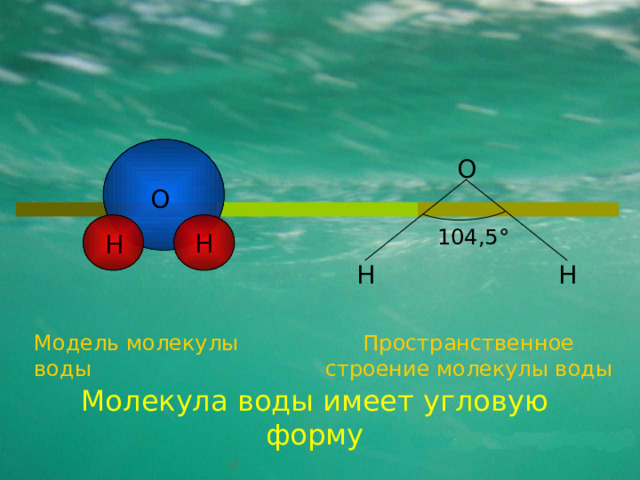 О О Н 104,5 ° Н Н Н Модель молекулы воды Пространственное строение молекулы воды Молекула воды имеет угловую форму 