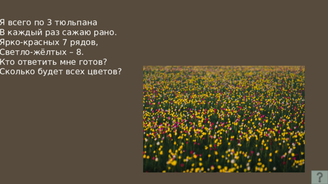 Я всего по 3 тюльпана В каждый раз сажаю рано. Ярко-красных 7 рядов, Светло-жёлтых – 8. Кто ответить мне готов? Сколько будет всех цветов? 