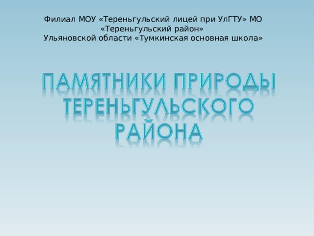 Филиал МОУ «Тереньгульский лицей при УлГТУ» МО «Тереньгульский район» Ульяновской области «Тумкинская основная школа»   